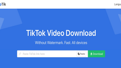 Snaptik Review 2022: How to Download TikTok Videos Without Watermarks